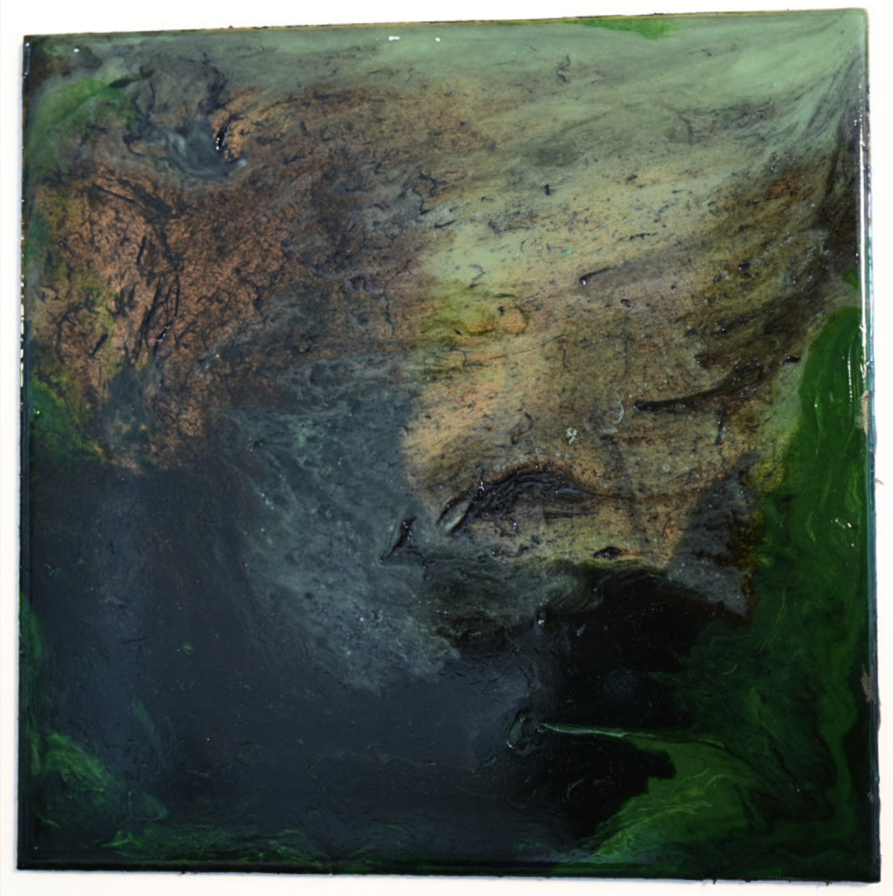 Emergence - 12"x12"