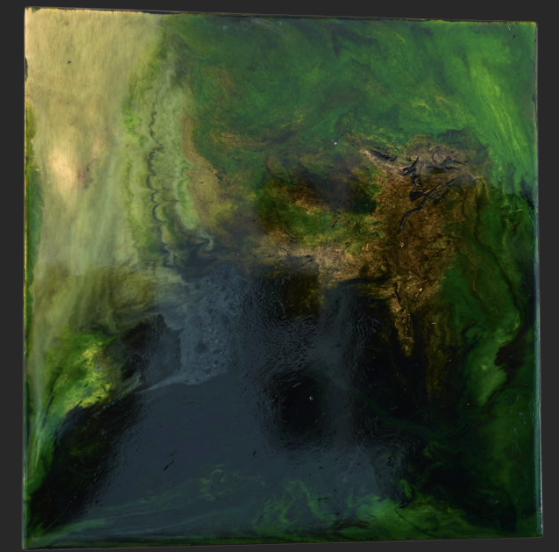 Emergence - 12"x12"